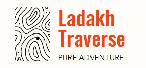  Travel Website Design